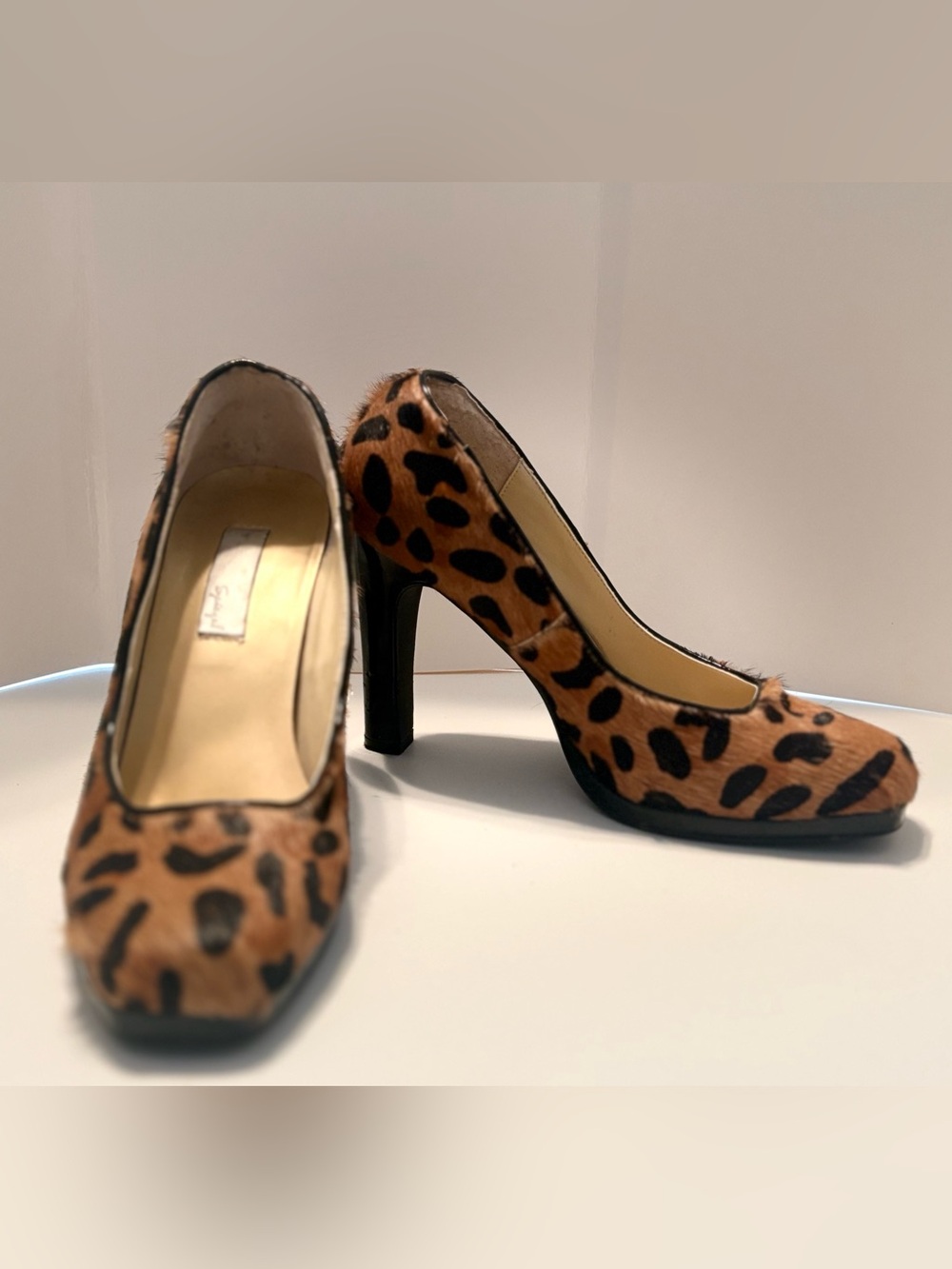 Spiegel Leopard-Print High Heel Pumps - Brown & Black